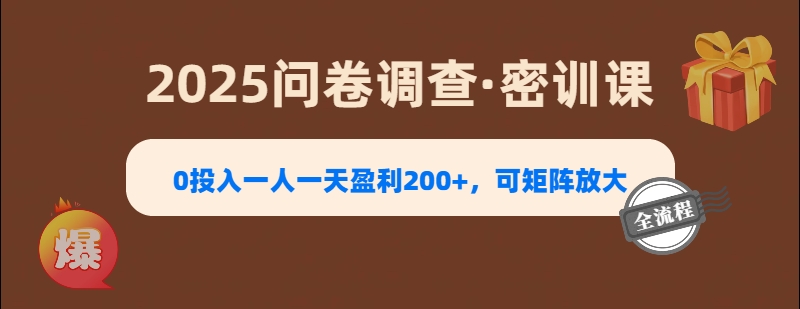 2025《问卷调查》0投入一人一天盈利200+，可矩阵放大-元满创业网