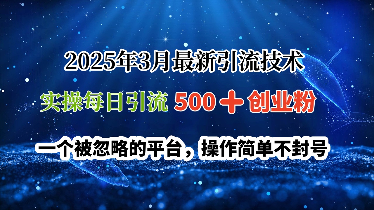2025年3月最新引流技术，实操每日引流500➕创业粉，一个被忽略的平台，操作简单不封号-元满创业网