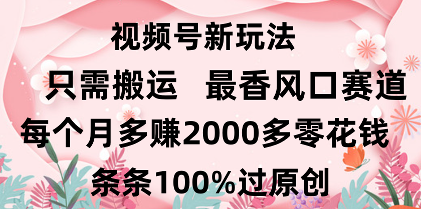 日入2000+，条条100%过原创，视频号最香风口赛道，小白轻松上手-元满创业网