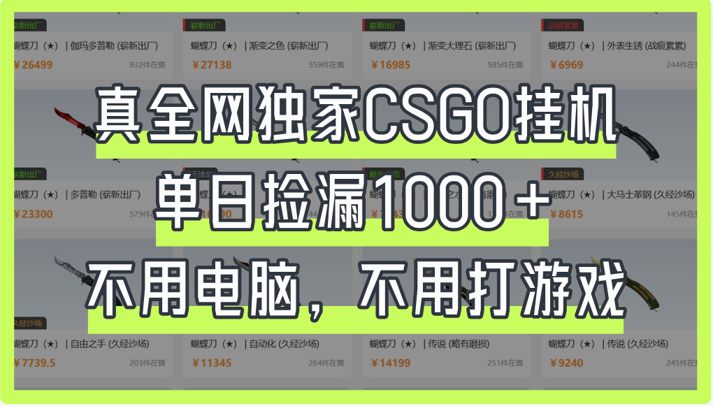真全网独家CSGO挂机，单日捡漏1000+-元满创业网