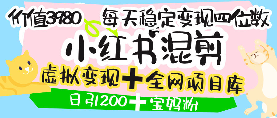 价值3980的小红书混剪， 虚拟变现 ＋全网项目库 ， 日引200+宝妈创业粉，每天稳定四位数变现-元满创业网