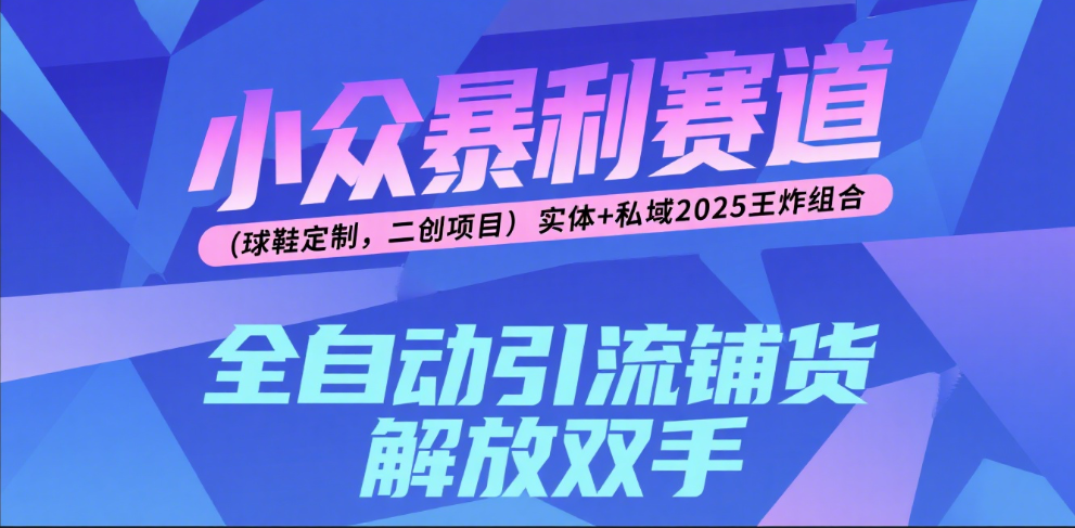 楠—小众暴利赛道（球鞋定制，二创项目）实体+私域2025王炸组合-元满创业网