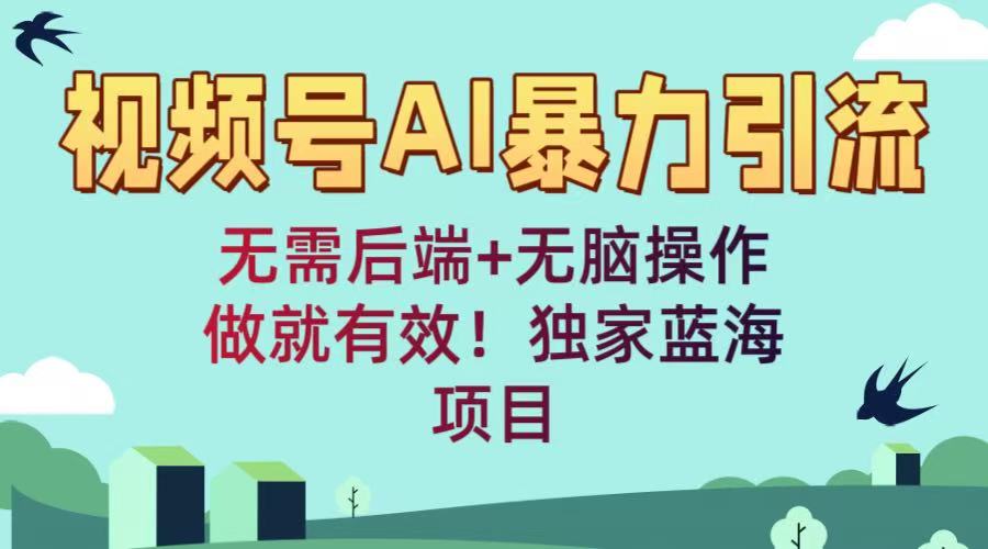 视频号AI暴力引流：无需后端+无脑操作，做就有效！独家蓝海项目-元满创业网