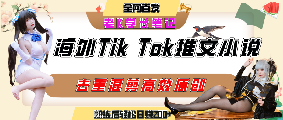 海外tiktok小说推文暴力项目，高停留率，高转化率，上手后一天搞顿饭钱不是问题-元满创业网