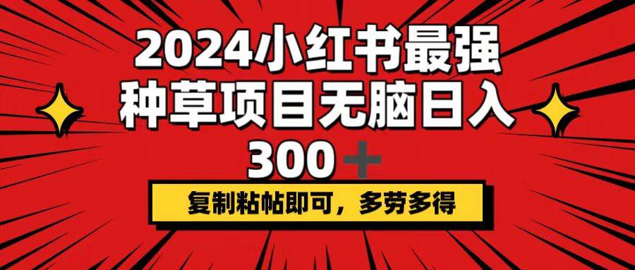 2024小红书最强种草项目，无脑日入300+，复制粘帖即可，多劳多得-元满创业网